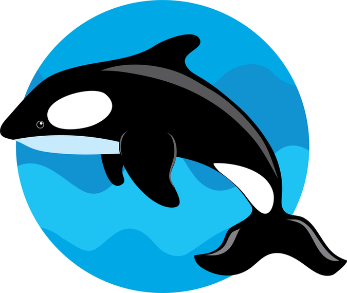 675x570 Cute Whale Vector