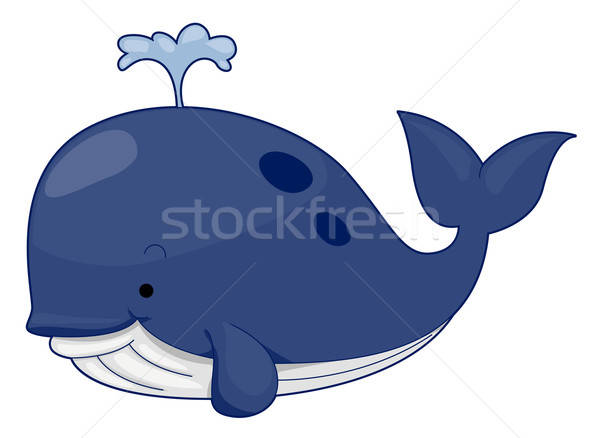 600x438 Cute Whale Vector Illustration Lenm