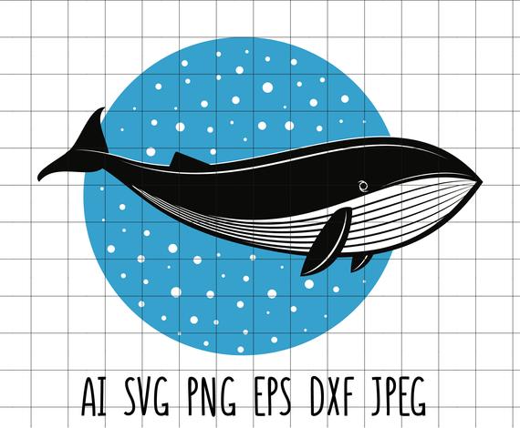 570x470 Cute Whale With Background Vector Clip Art Cutting Vinyl Etsy