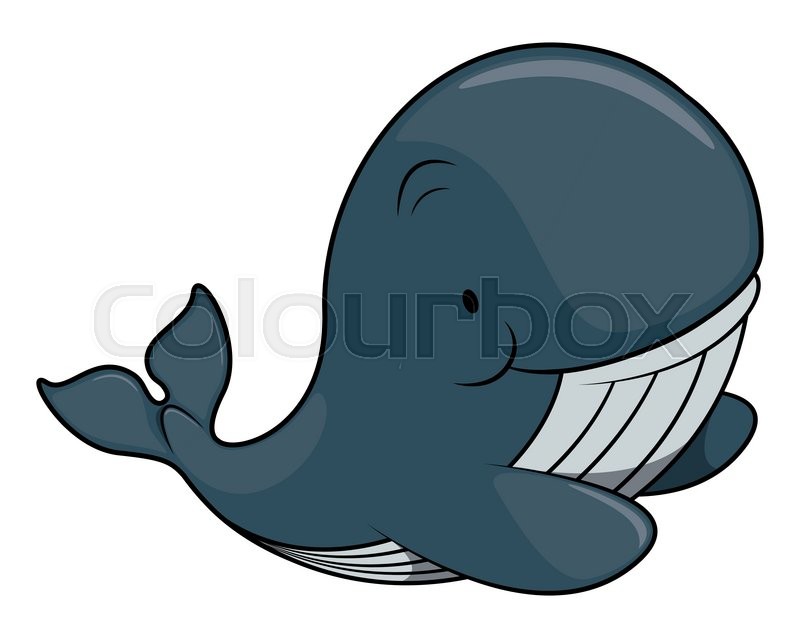 800x638 Cute Whale Vector Illustration Stock Vector Colourbox