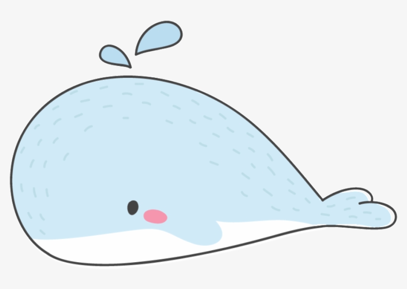 820x583 Hand Drawn Cute Water Spray Whale Vector