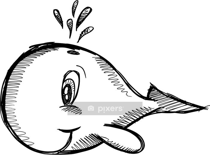 700x518 Sketchy Cute Whale Vector Wall Decal We Live To Change