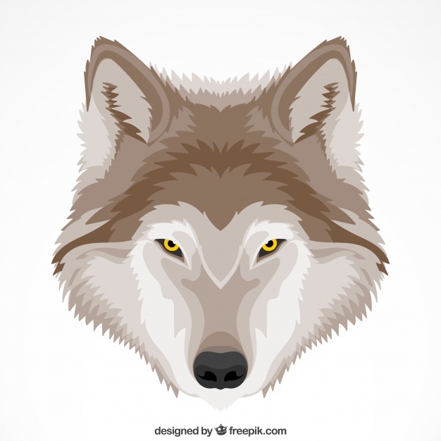 Cute Wolf Vectors, Photos And Free Download 626x626 Cute Wolf Vectors, Photos And Free Download