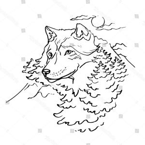 Stock Image Cute Wolf Animal Of Nature Fauna Newwaysys 300x300 Stock Image Cute Wolf Animal Of Nature Fauna Newwaysys