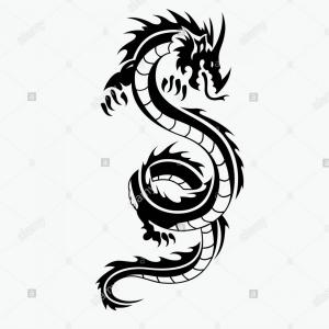 300x300 Photogreen Robot Cyborg Dragon Vector Illustration Art Sarahgardan