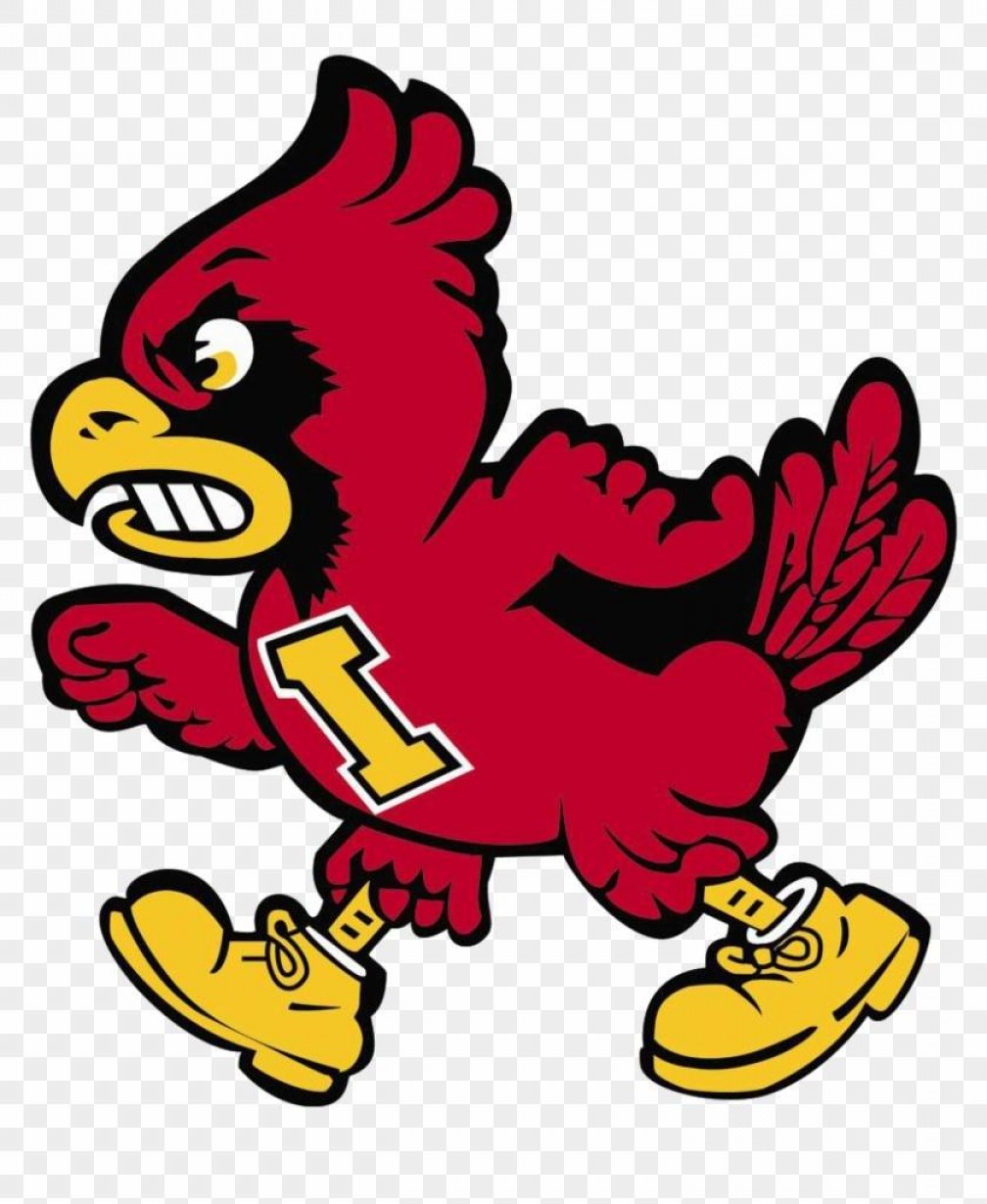 1008x1230 Hd Best State University Iowa Cyclones Football Cy Library Photos