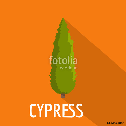 Cypress Tree Icon Flat Illustration Of Cypress Tree Vector Icon 500x500 Cypress Tree Icon Flat Illustration Of Cypress Tree Vector Icon