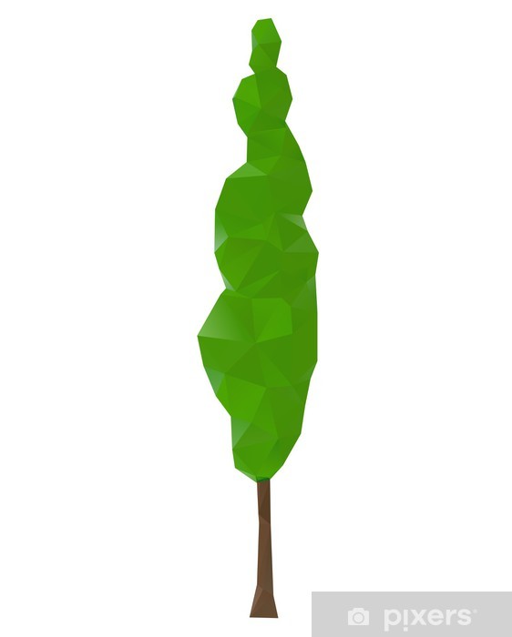 Green Cypress Trees, Vector Illustration Wall Mural 562x700 Green Cypress Trees, Vector Illustration Wall Mural