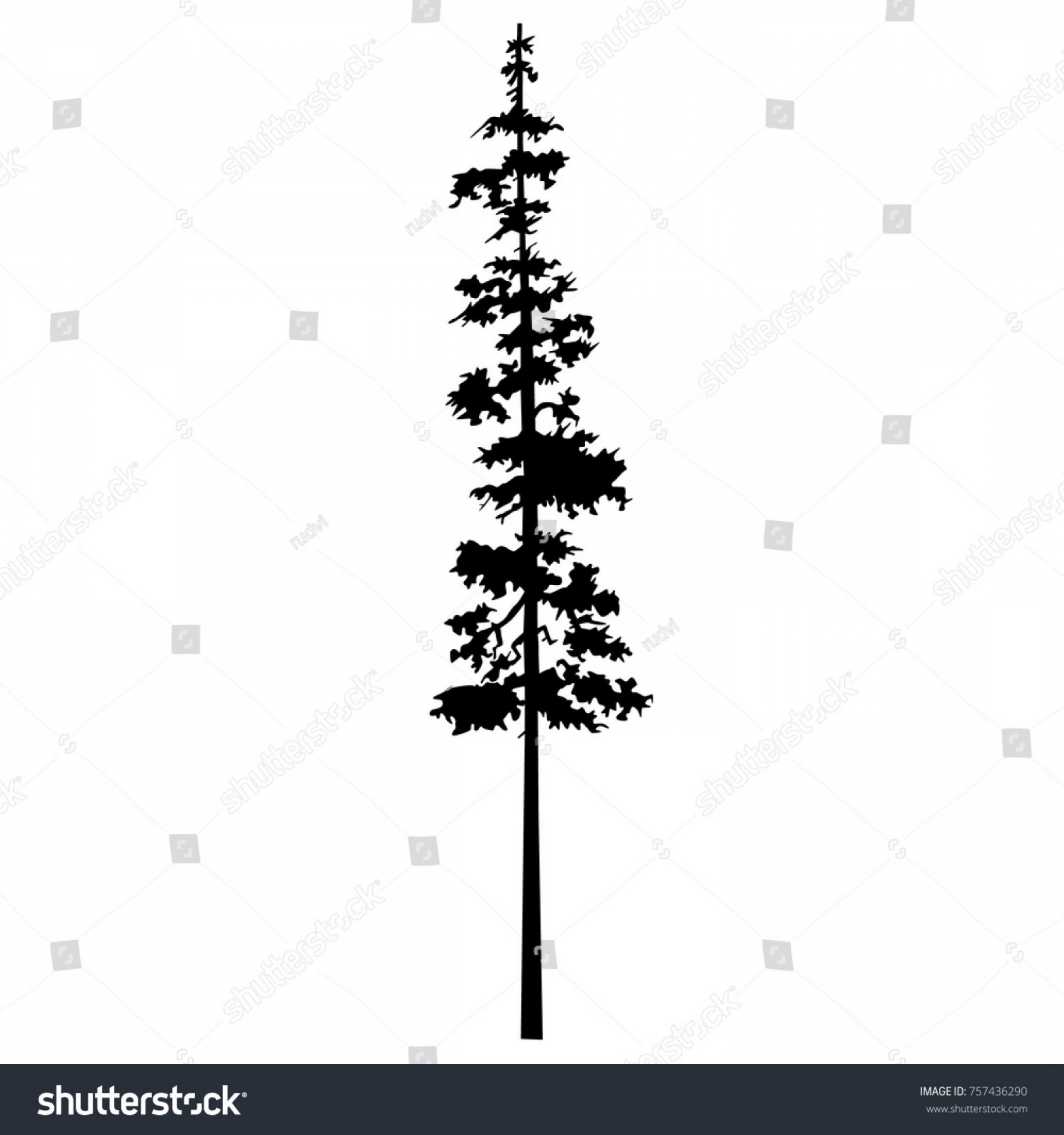 Tree Pine Vector Silhouette Cypress Isolated Geekchicpro 2160x2304 Tree Pine Vector Silhouette Cypress Isolated Geekchicpro