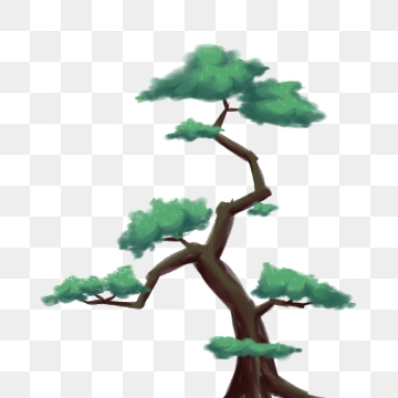 Cypress Tree Png Images Vector And Free Download 360x360 Cypress Tree Png Images Vector And Free Download
