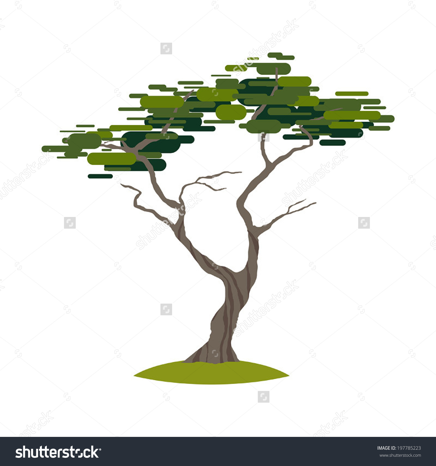 Cypress Branch Clipart Free Cliparts Download Images 1500x1600 Cypress Branch Clipart Free Cliparts Download Images