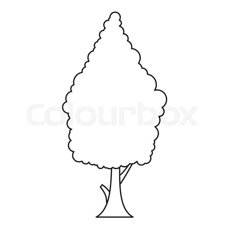 Cypress Icon Outline Illustration Of Stock Vector Colourbox 800x800 Cypress Icon Outline Illustration Of Stock Vector Colourbox