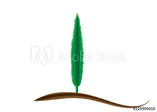 Cypress Icon Simple Illustration Of Cypress Vector Icon For Web 500x357 Cypress Icon Simple Illustration Of Cypress Vector Icon For Web