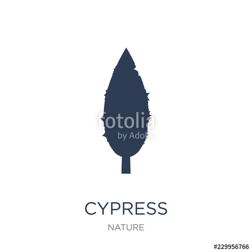 Cypress Icon Trendy Flat Vector Cypress Icon On White Background 500x500 Cypress Icon Trendy Flat Vector Cypress Icon On White Background