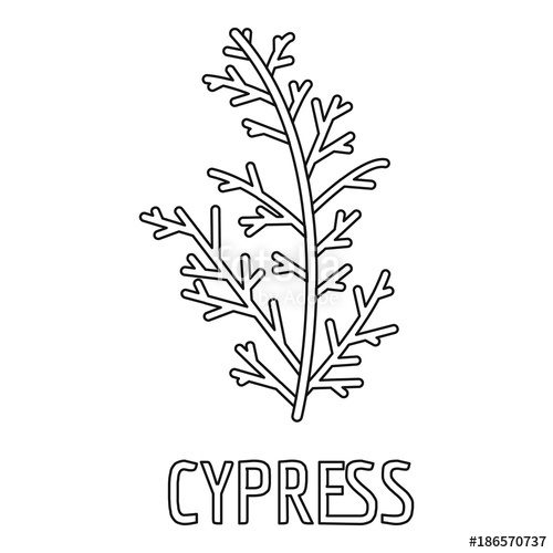 Cypress Leaf Icon Outline Illustration Of Cypress Leaf Vector 500x500 Cypress Leaf Icon Outline Illustration Of Cypress Leaf Vector