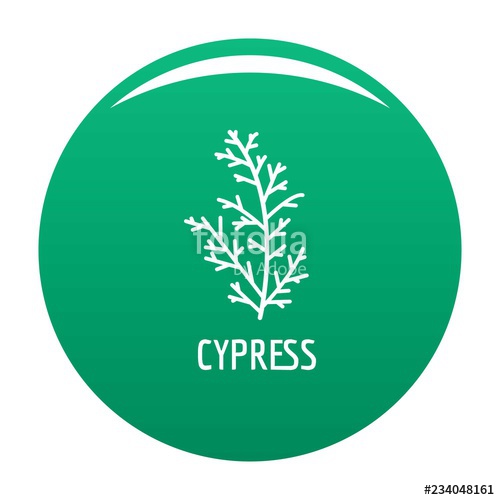 Cypress Leaf Icon Simple Illustration Of Cypress Leaf Vector Icon 500x500 Cypress Leaf Icon Simple Illustration Of Cypress Leaf Vector Icon