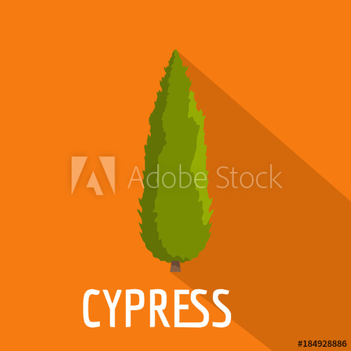 Cypress Tree Icon Flat Illustration Of Cypress Tree Vector Icon 500x500 Cypress Tree Icon Flat Illustration Of Cypress Tree Vector Icon