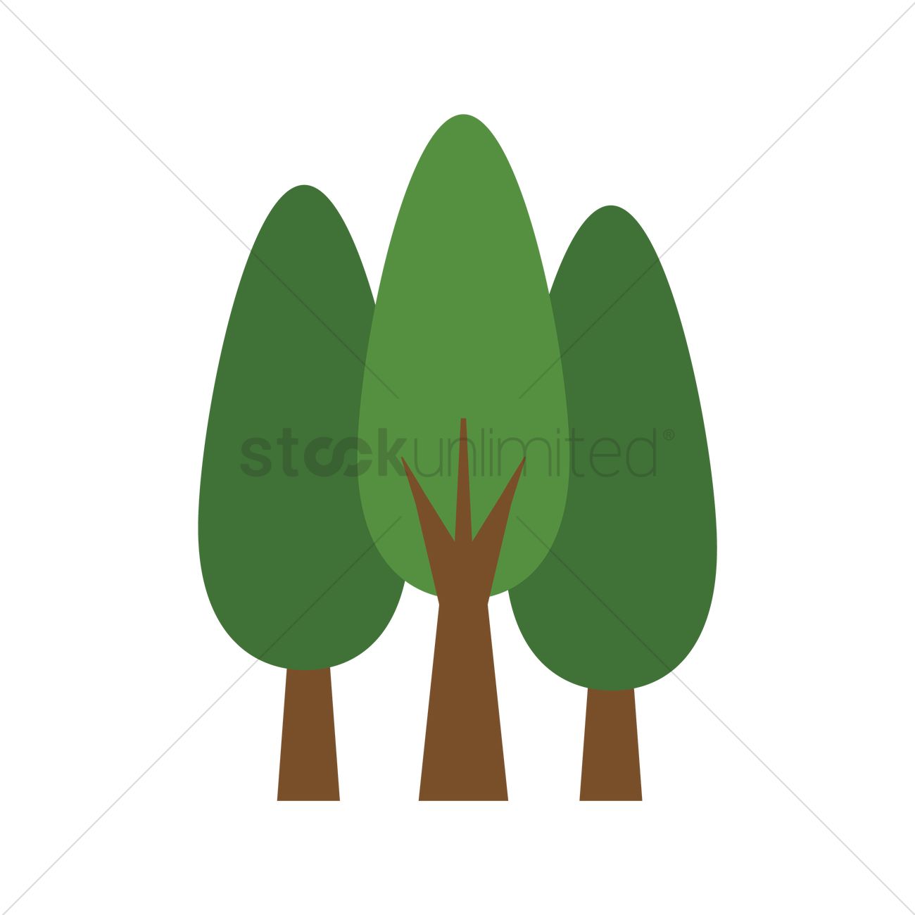 Кипарисовое дерево вектор