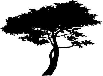 Monterey Cypress Tree Vectors Monterey Cypress, Silhouette 350x257 Monterey Cypress Tree Vectors Monterey Cypress, Silhouette