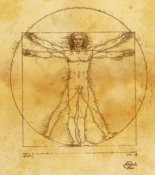 Leonardo's Vitruvian Man In Gtgt Vector Ltlt Format! Leonardo Da Vinci 529x597 Leonardo's Vitruvian Man In Gtgt Vector Ltlt Format! Leonardo Da Vinci