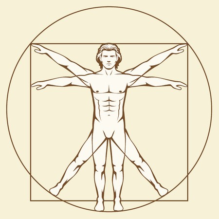Leonardo Da Vinci Vetruvian Man, Human Anatomy Royalty Free 450x450 Leonardo Da Vinci Vetruvian Man, Human Anatomy Royalty Free