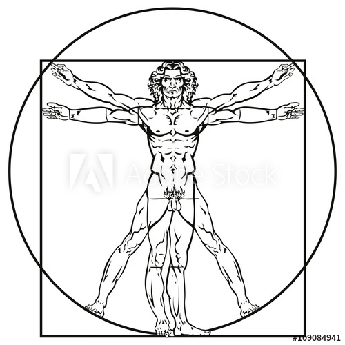 Leonardo Da Vinci Vitruvian Man 500x500 Leonardo Da Vinci Vitruvian Man