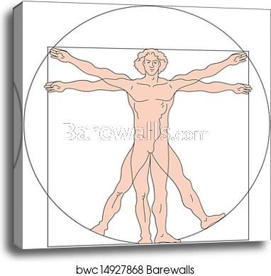 Leonardo Da Vinci's Vitruvian Man Canvas Print Barewalls 382x390 Leonardo Da Vinci's Vitruvian Man Canvas Print Barewalls