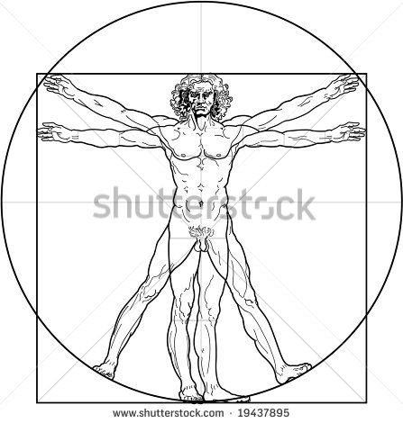 The Vitruvian Man Detailed Drawing On The Basis Of Artwork 447x470 The Vitruvian Man Detailed Drawing On The Basis Of Artwork