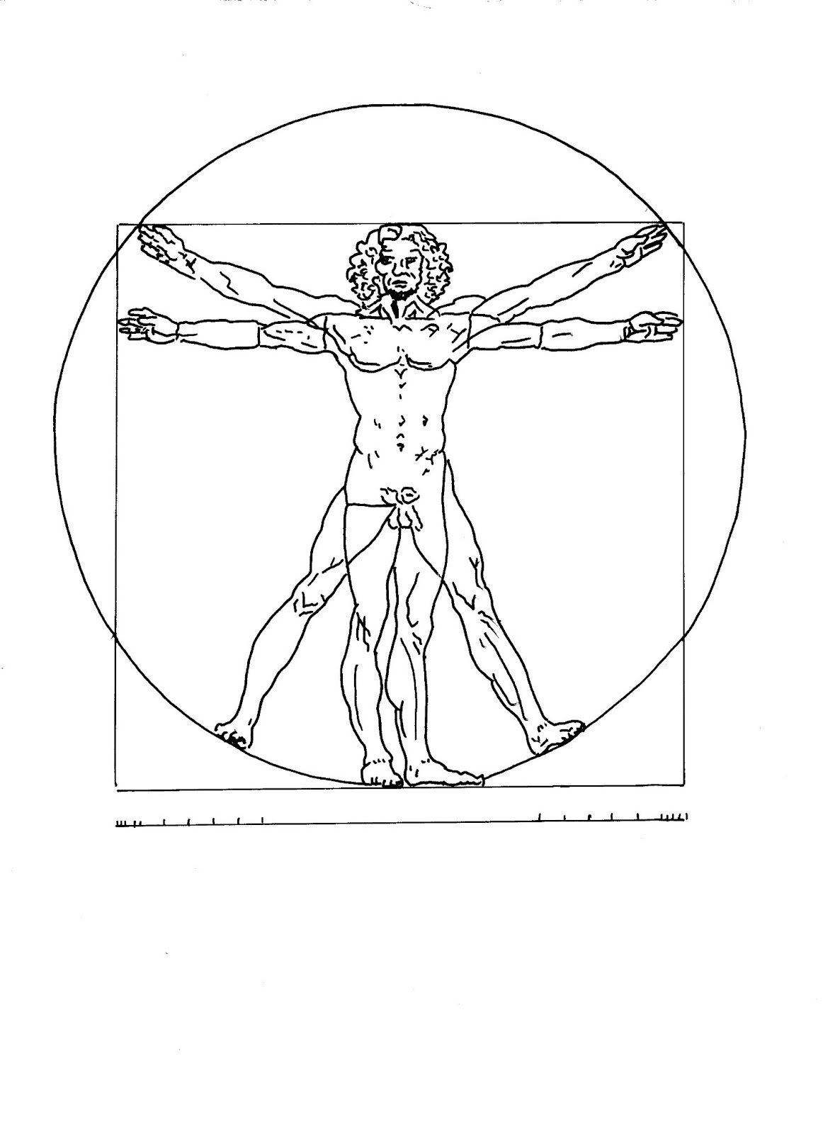 Vitruvian Man Haircolour Us 1162x1600 Vitruvian Man Haircolour Us