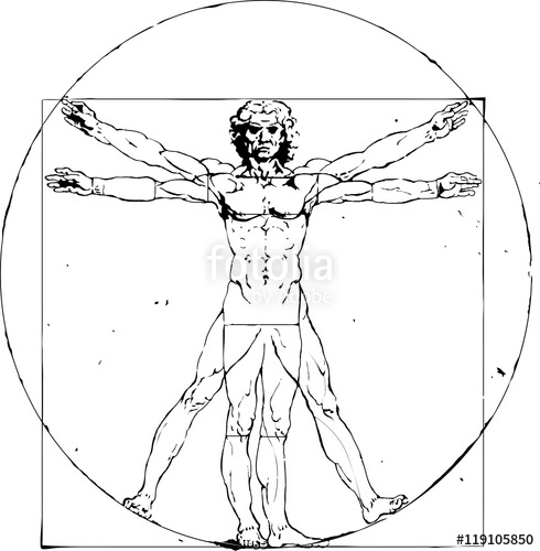 Vitruvian Man Leonardo Da Vinci Stock Image And Royalty Free 490x500 Vitruvian Man Leonardo Da Vinci Stock Image And Royalty Free