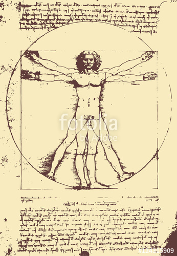 Vitruvian Man Illustration Leonardo Da Vinci 346x500 Vitruvian Man Illustration Leonardo Da Vinci