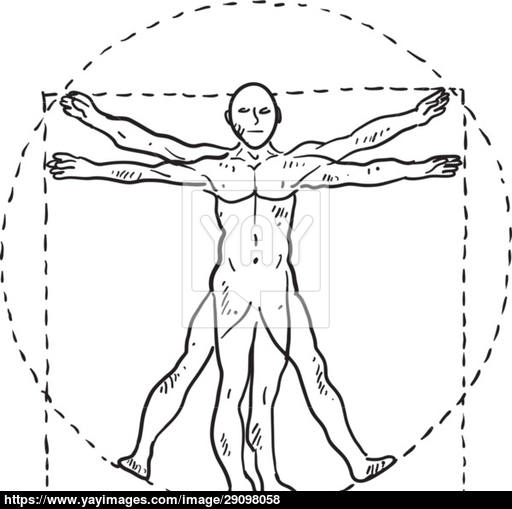 Da Vinci Man Sketch 512x509 Da Vinci Man Sketch
