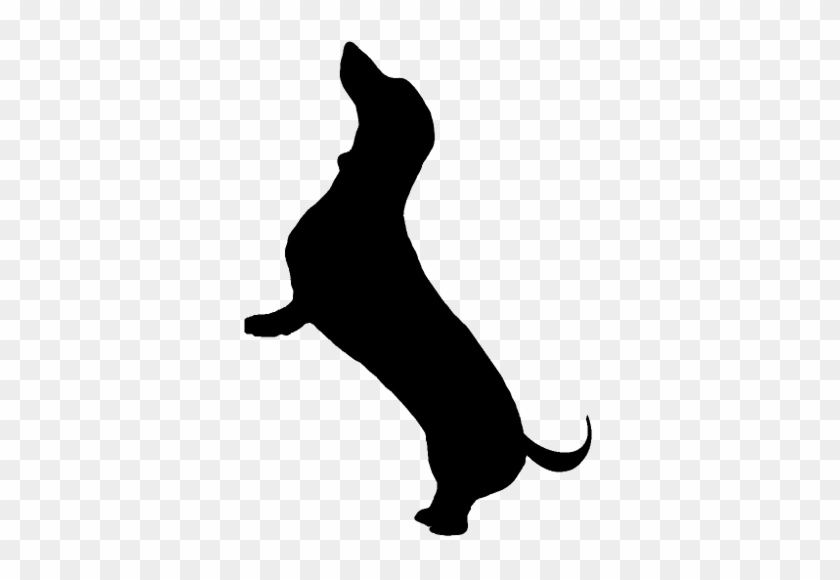Dachshund Silhouette Vector at