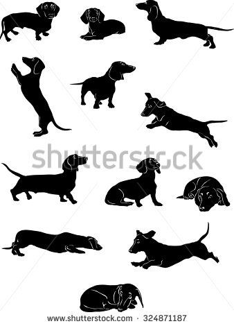 338x470 Dachshund Clipart Vector Illustration For Free Download And Use