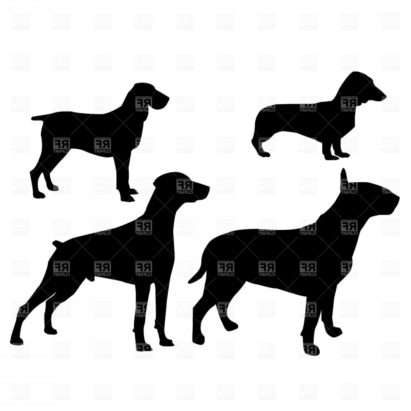 1440x1440 Dogs Bloodhound Dachshund And Bull Terrier Silhouette Vector