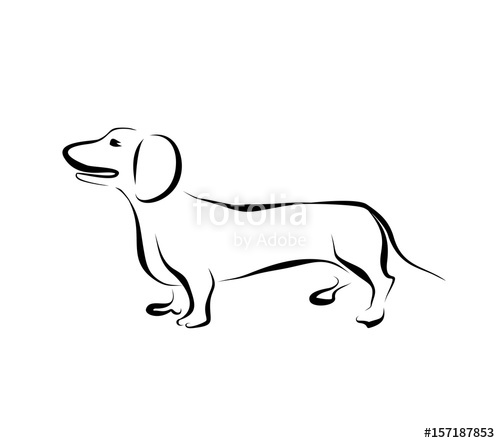 500x443 Drawing Dachshund Silhouette Stock Image And Royalty Free Vector