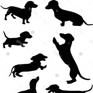 300x300 Stock Illustration Vector Clip Art Dachshund On Geekchicpro