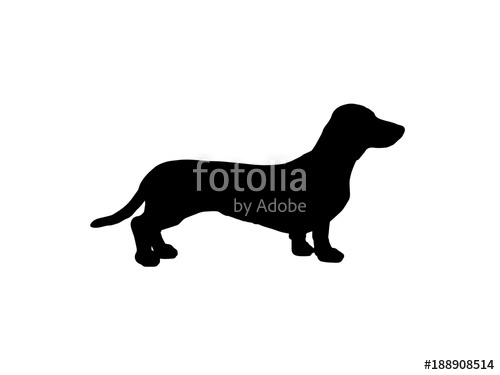 500x375 The Silhouette Of A Dachshund Vector Illustration Stock Image