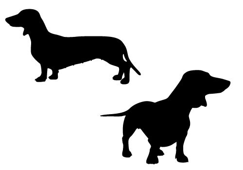 500x350 Cute And Playful Dachshund Pups In Silhouette Vector Format