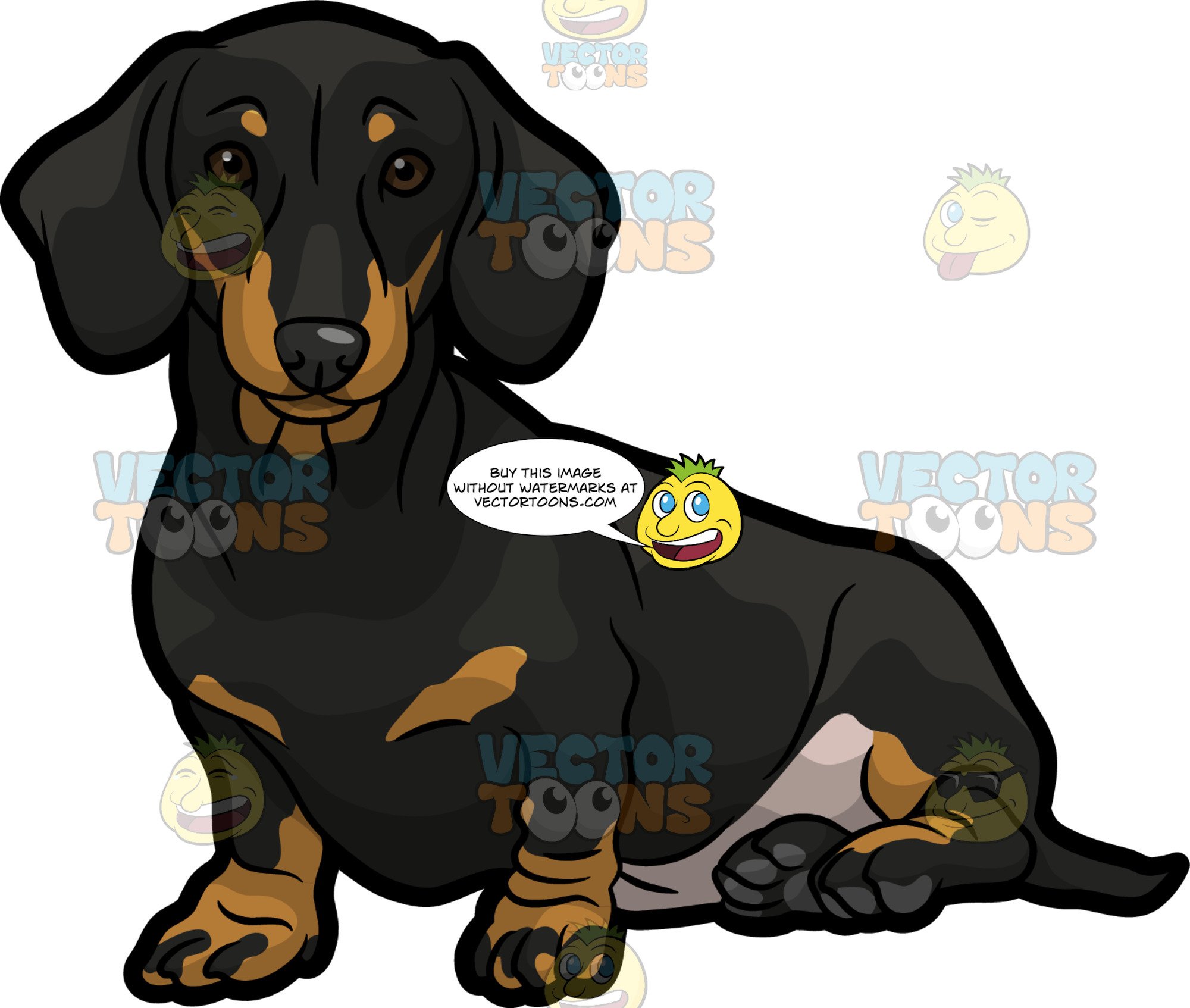 Dachshund Vector