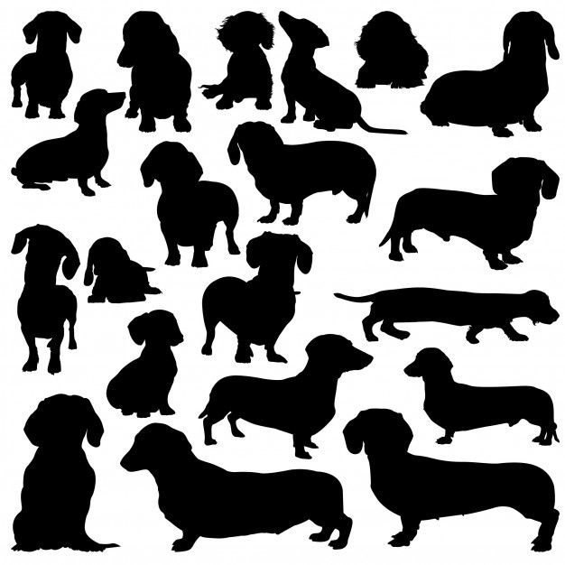 Dachshund Vector at Vectorified.com | Collection of Dachshund Vector ...