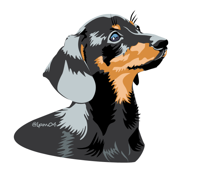 691x600 Black And Tan Miniature Dachshund