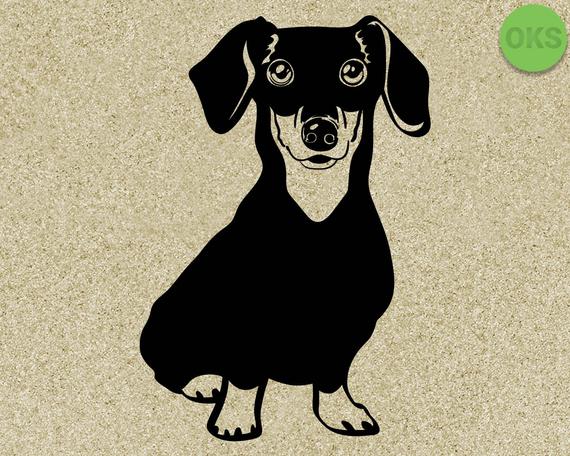 570x456 Dachshund Dachshund Files, Dachshund Vector, Clipart