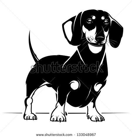 450x470 Dog Dachshund Vector Illustration Perro Dachshund Art