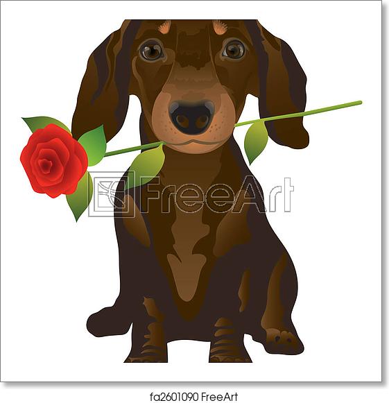 561x581 Free Art Print Of Dachshund Vector Illustration Representing