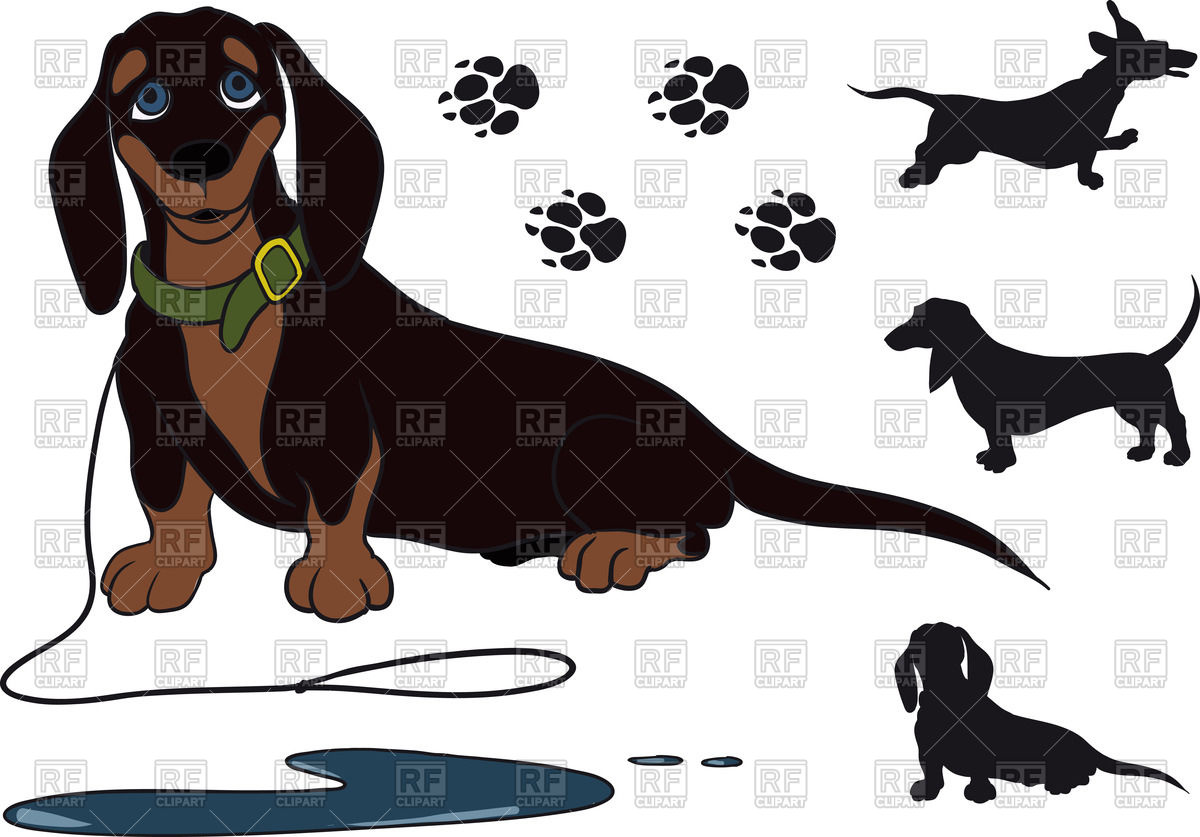 1200x837 Funny Shorthair Sitting Dachshund Vector Image Of Plants