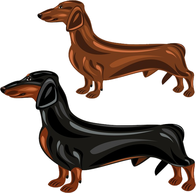 Download Dachshund Vector at Vectorified.com | Collection of ...