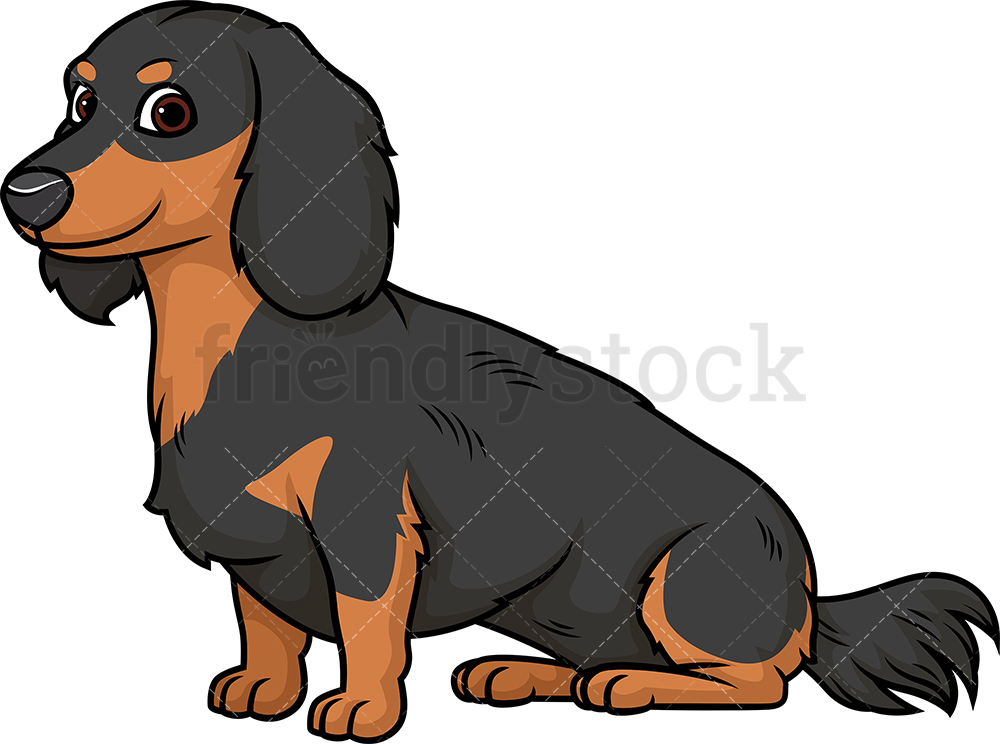 1000x744 Obedient Dachshund Cartoon Clipart Vector