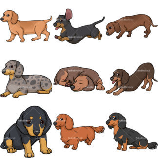 324x324 Playful Dachshund Cartoon Clipart Vector