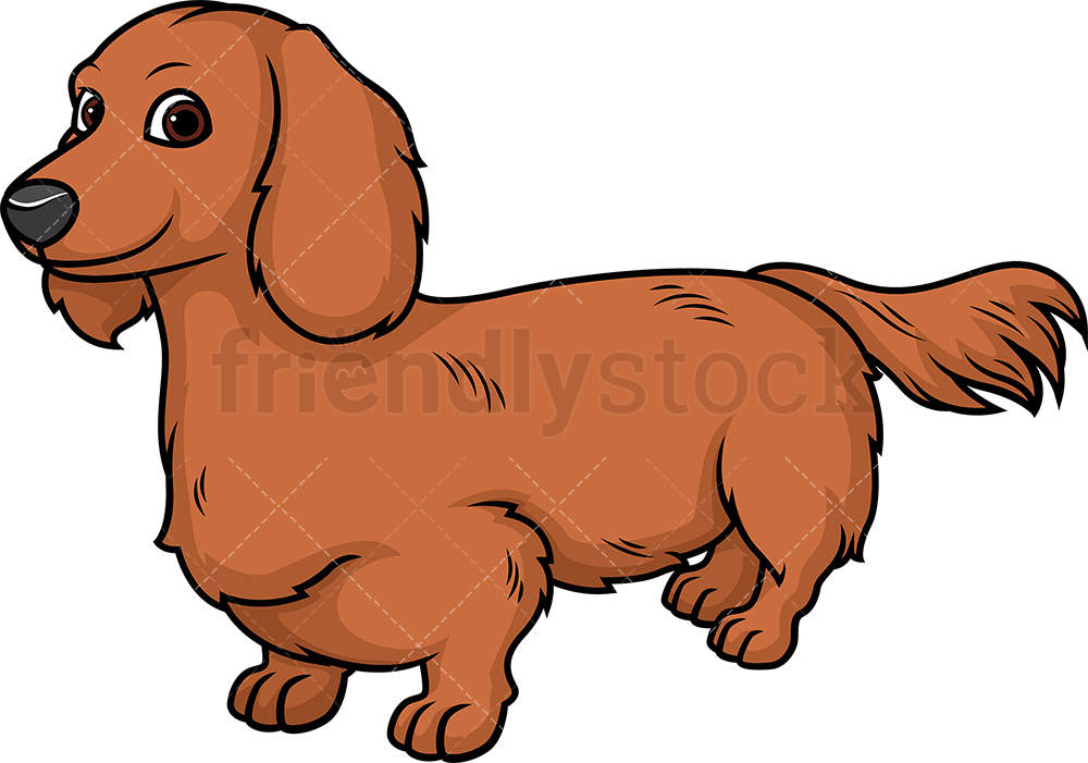 1000x701 Cheerful Dachshund Cartoon Clipart Vector